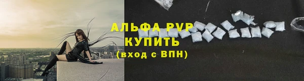 прущие грибы Богородск